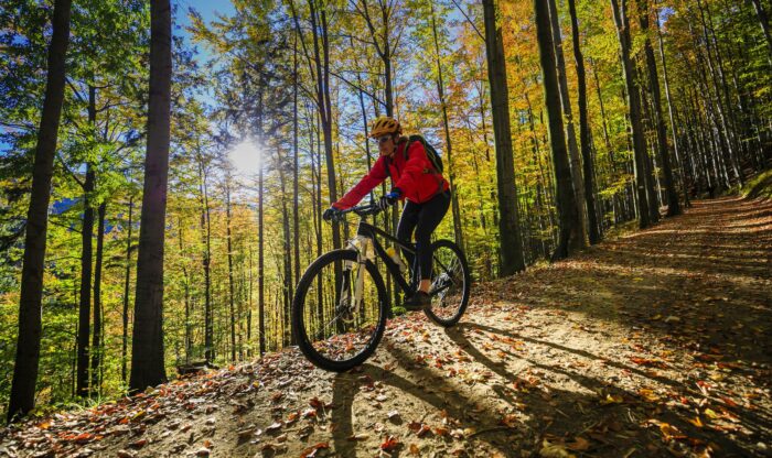 activité physique 2